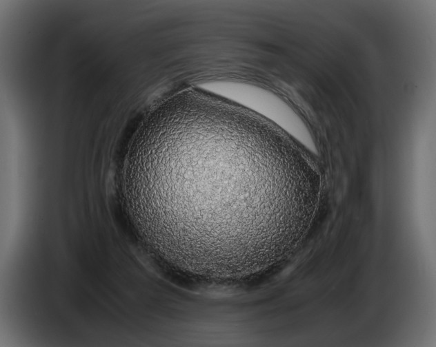 X0000083580209200703021825