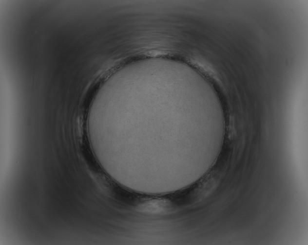 X0000083580210200703021825