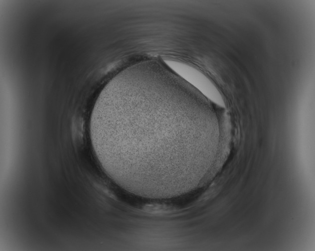 X0000083580211200703021825