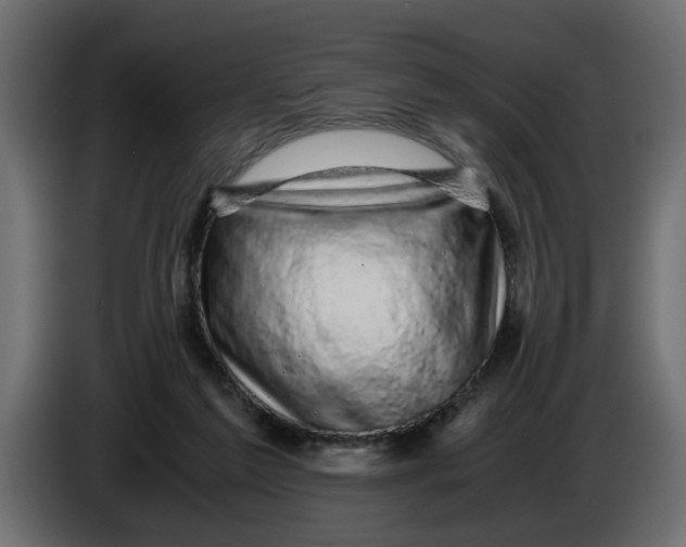 X0000083580213200703021825