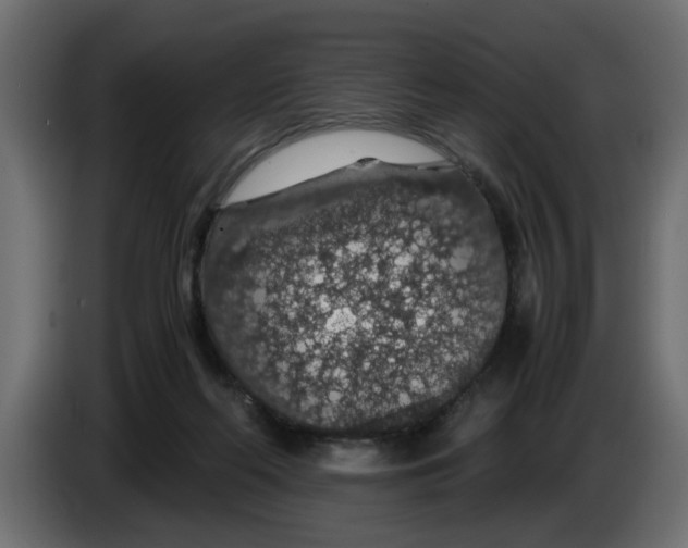 X0000083580214200703021825