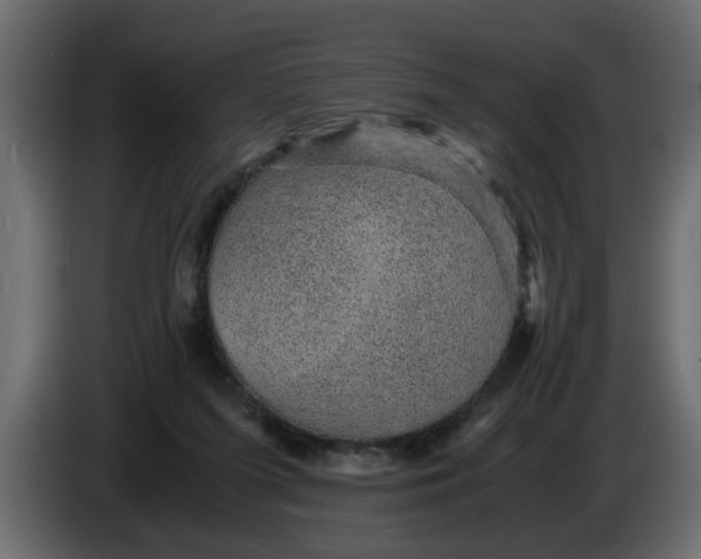 X0000083580215200703021825