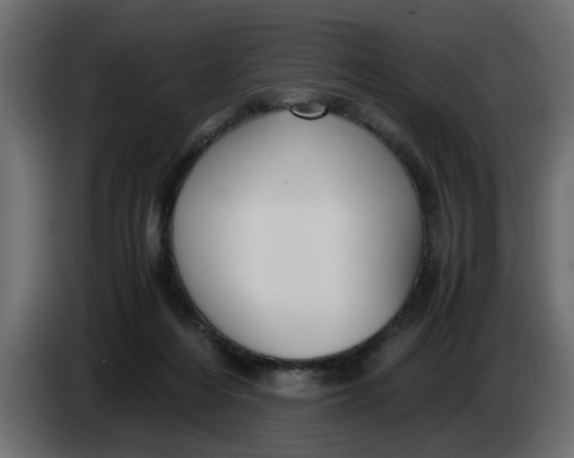 X0000083580216200703021825