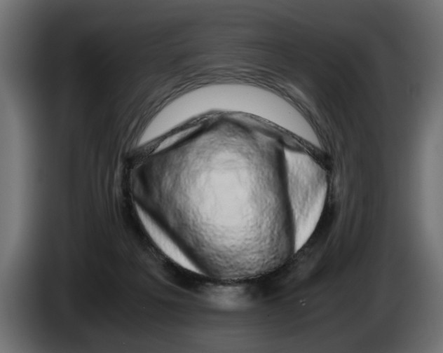 X0000083580217200703021825