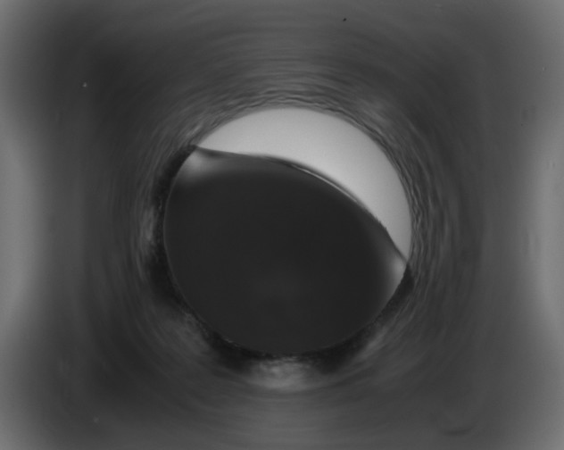 X0000083580219200703021825