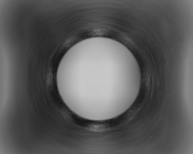 X0000083580220200703021825