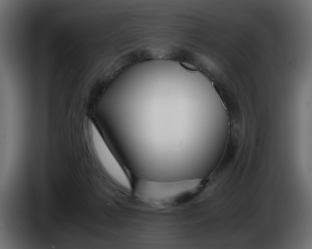 X0000083580221200703021825