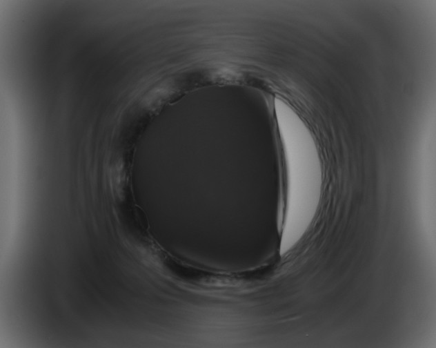 X0000083580223200703021825