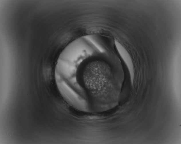 X0000083580224200703021825