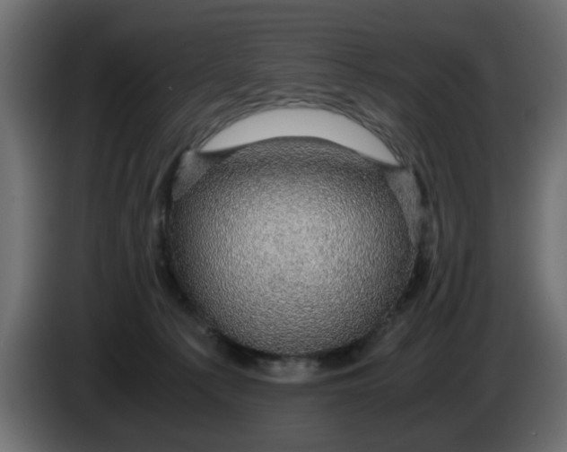 X0000083580225200703021825