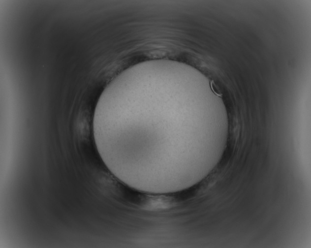 X0000083580226200703021825