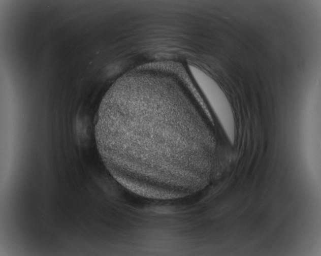 X0000083580228200703021825