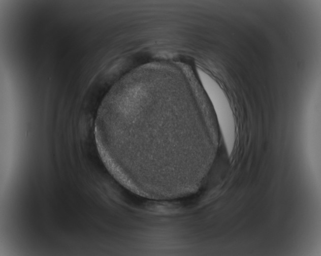 X0000083580229200703021825