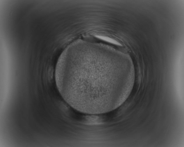 X0000083580230200703021825