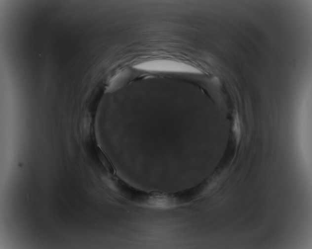 X0000083580231200703021825