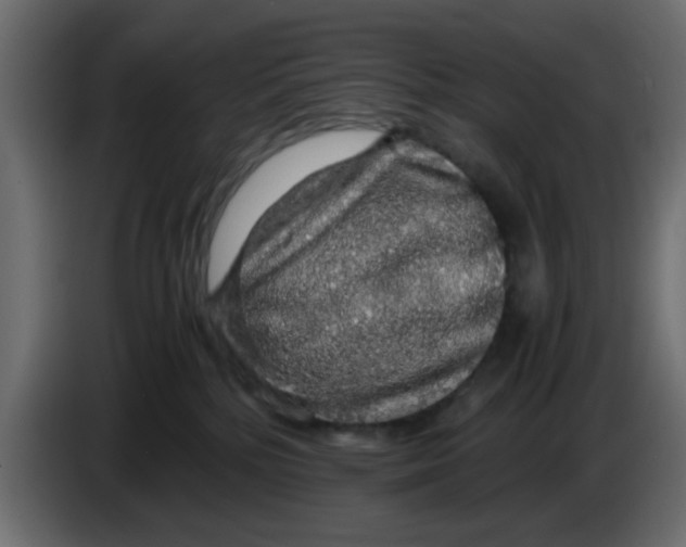 X0000083580232200703021825