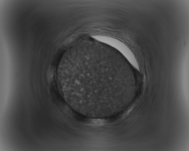 X0000083580233200703021825