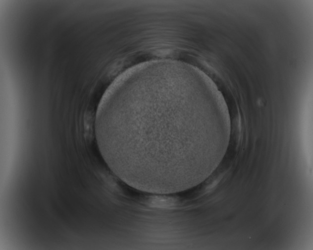 X0000083580234200703021825