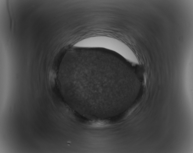 X0000083580235200703021825