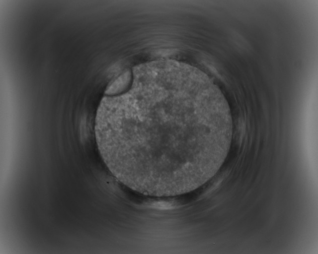 X0000083580236200703021824