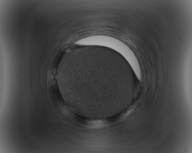 X0000083580237200703021824