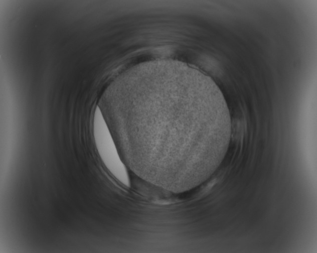 X0000083580238200703021824