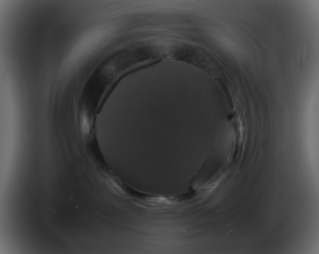 X0000083580239200703021824