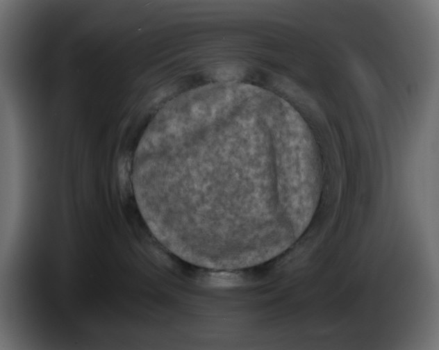 X0000083580240200703021824