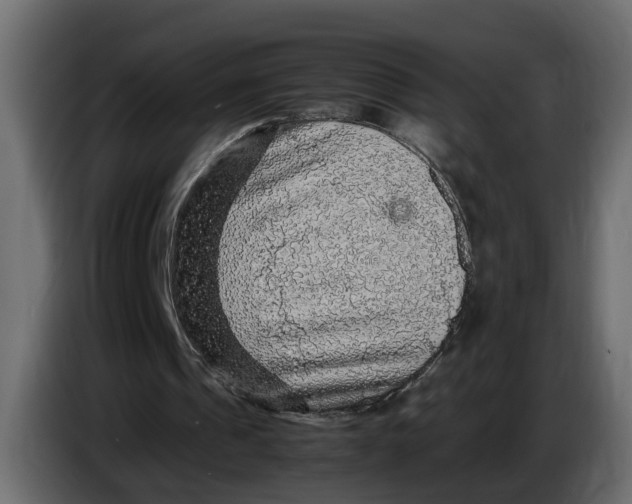 X0000083580241200703021823