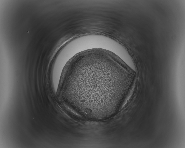 X0000083580242200703021823