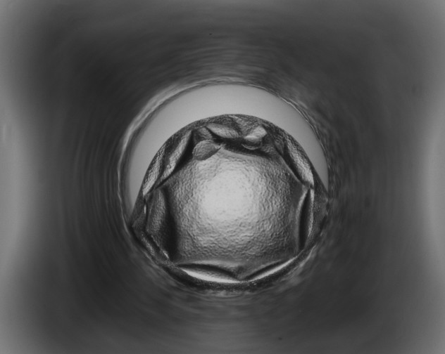 X0000083580244200703021824