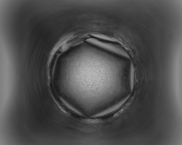 X0000083580245200703021824