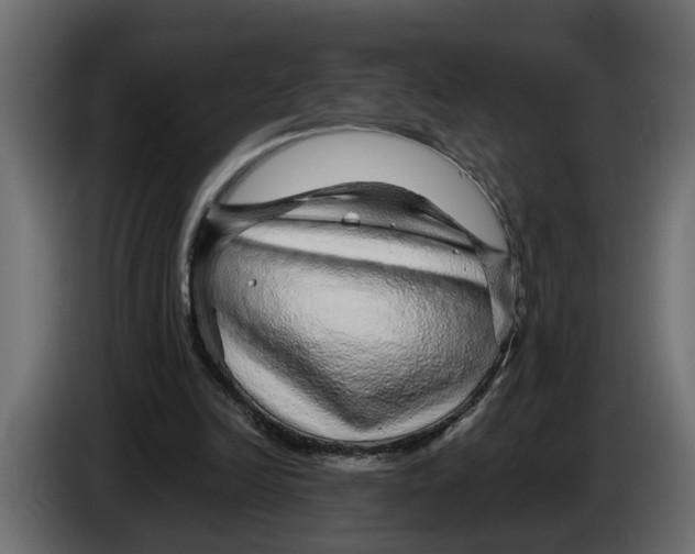 X0000083580246200703021824