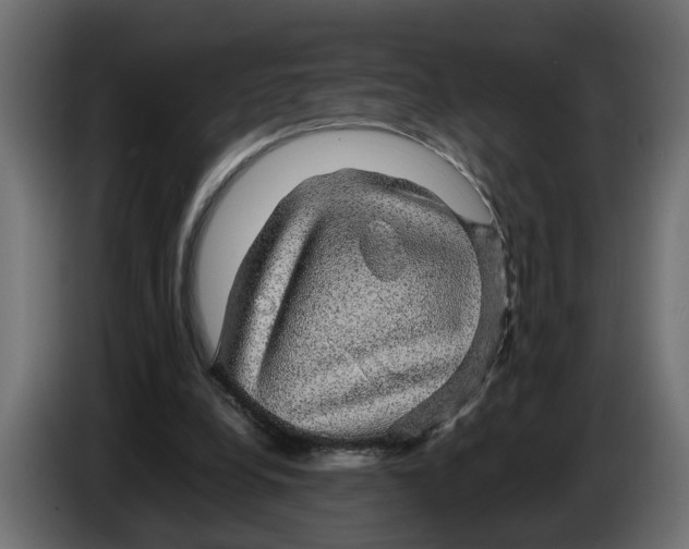 X0000083580248200703021824