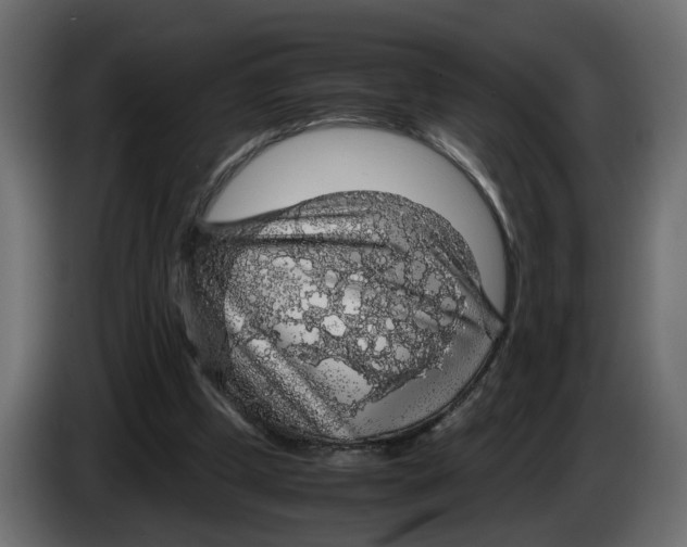 X0000083580249200703021824