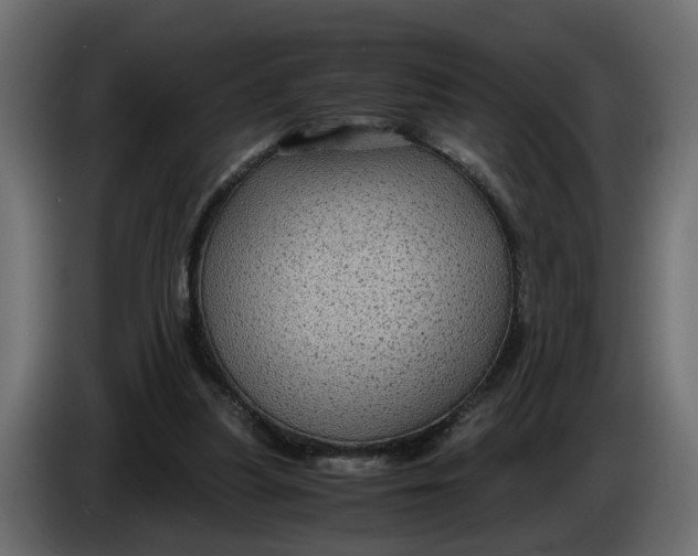 X0000083580251200703021824