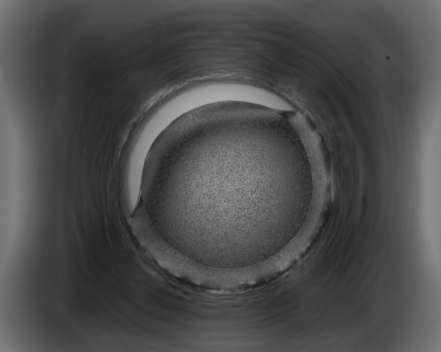 X0000083580252200703021824