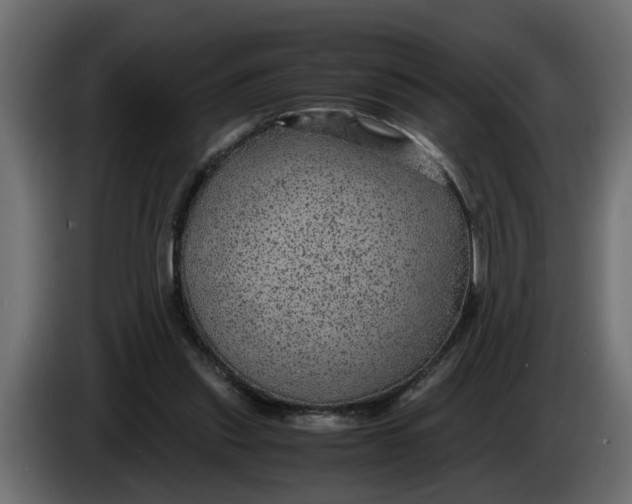 X0000083580253200703021824