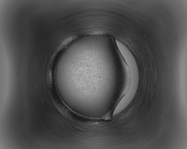 X0000083580254200703021824