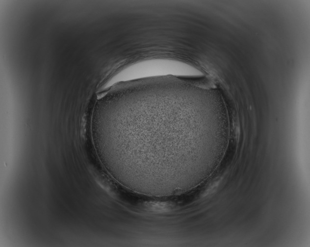 X0000083580255200703021824