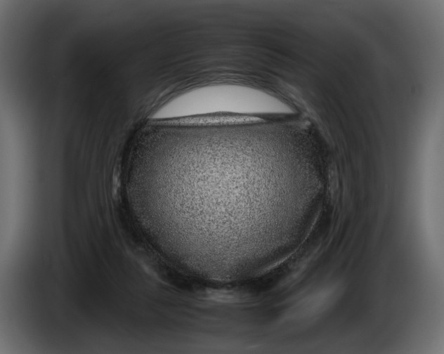 X0000083580259200703021824