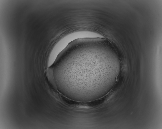 X0000083580262200703021824