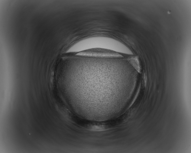 X0000083580263200703021824