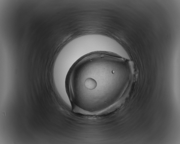 X0000083580264200703021824