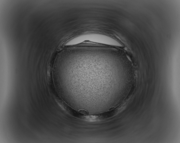 X0000083580265200703021824