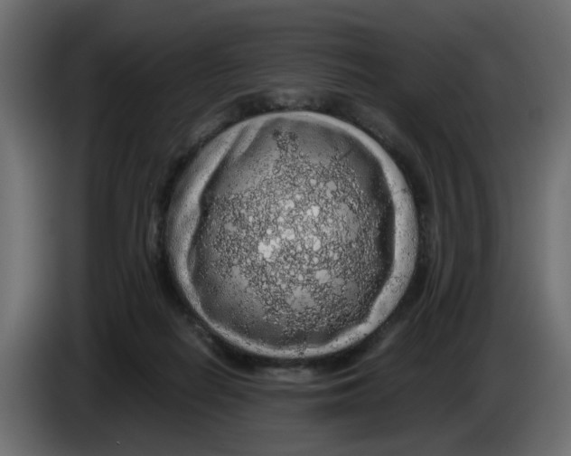 X0000083580266200703021824