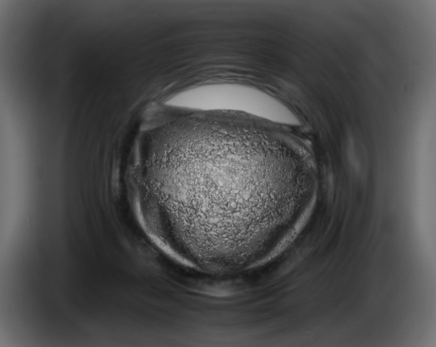 X0000083580267200703021824