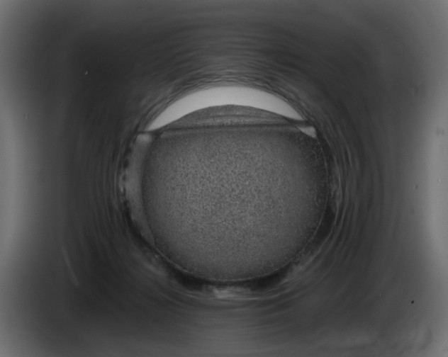 X0000083580268200703021824