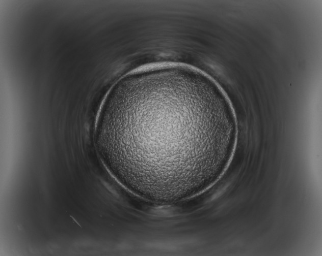 X0000083580269200703021824