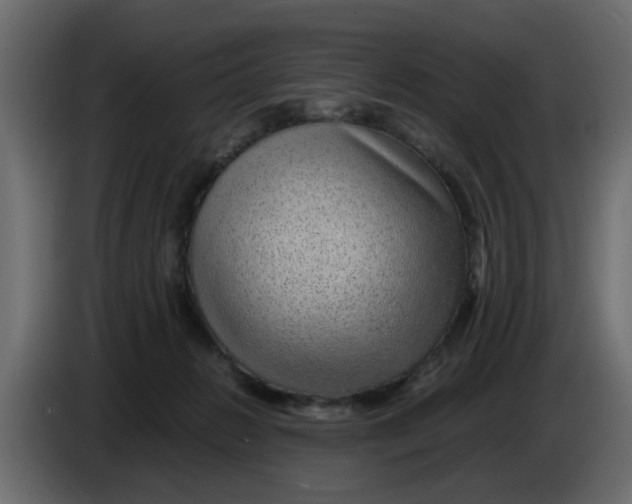 X0000083580270200703021824